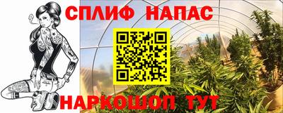 гидра Жуковский