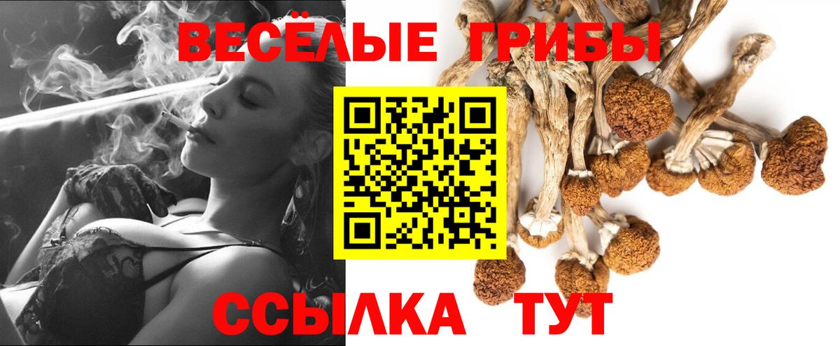 Галлюциногенные грибы мицелий  магазин    Лянтор  Вход с VPN 