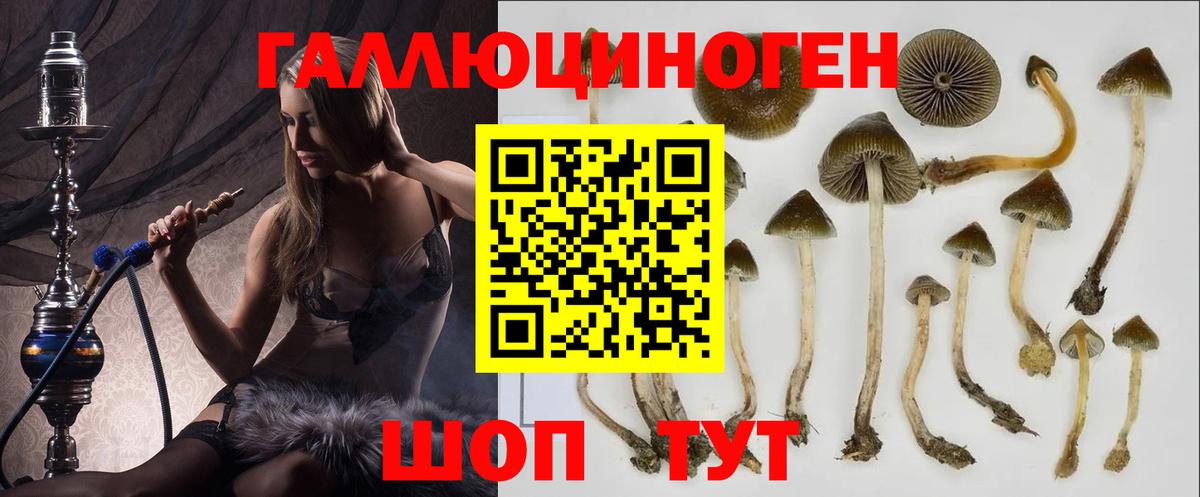 Галлюциногенные грибы Psilocybine cubensis Лянтор